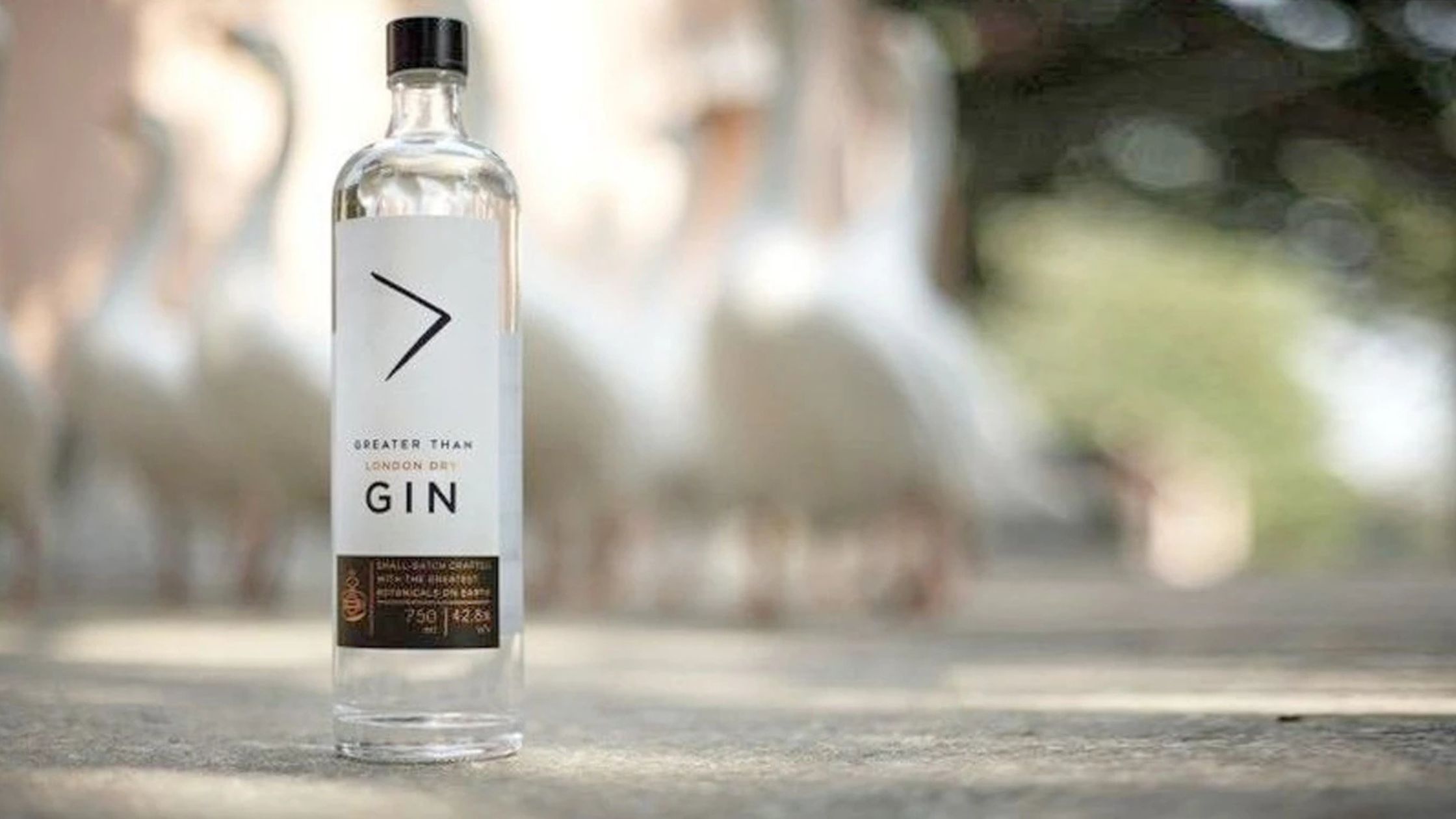 Greater Than Gin (India)